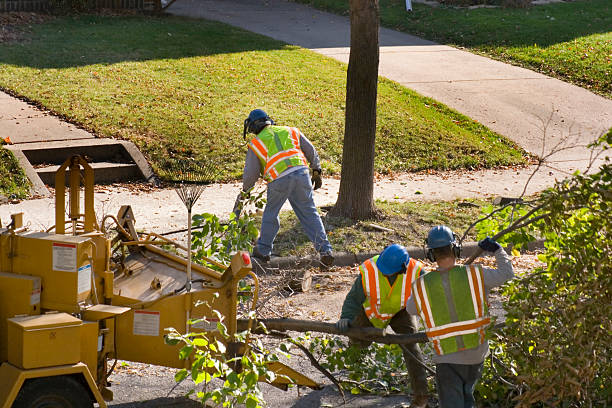 Leaf Removal in Two Rivers, WI